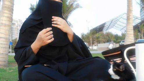 娱乐吃瓜君和七七,揭秘娱乐圈背后的故事